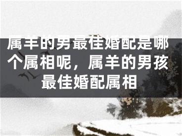 属羊的男最佳婚配是哪个属相呢，属羊的男孩最佳婚配属相