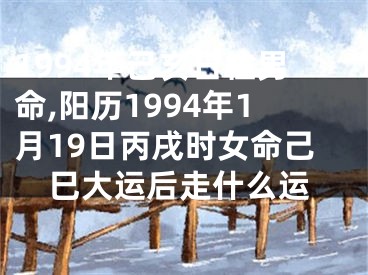 1994年己亥日柱男命,阳历1994年1月19日丙戌时女命己巳大运后走什么运