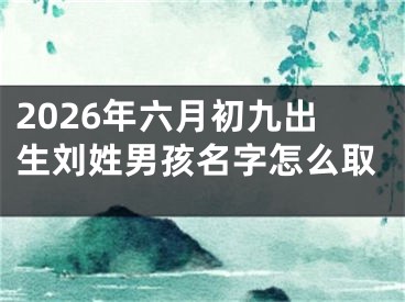 2026年六月初九出生刘姓男孩名字怎么取