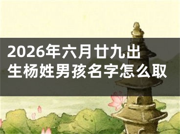 2026年六月廿九出生杨姓男孩名字怎么取