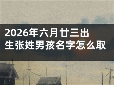 2026年六月廿三出生张姓男孩名字怎么取