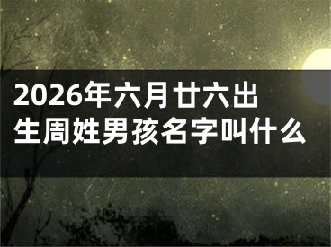2026年六月廿六出生周姓男孩名字叫什么