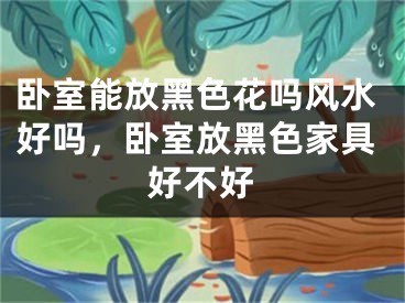 卧室能放黑色花吗风水好吗，卧室放黑色家具好不好