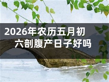 2026年农历五月初六剖腹产日子好吗