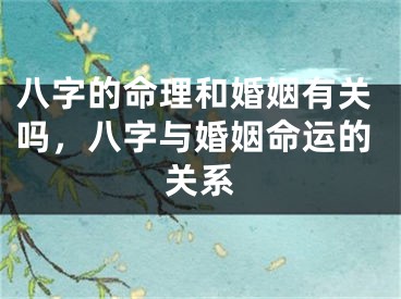 八字的命理和婚姻有关吗,八字与婚姻命运的关系