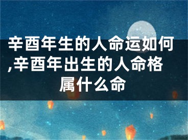 辛酉年生的人命运如何,辛酉年出生的人命格属什么命