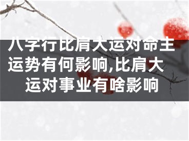 八字行比肩大运对命主运势有何影响,比肩大运对事业有啥影响