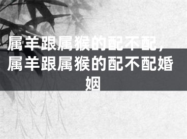 属羊跟属猴的配不配，属羊跟属猴的配不配婚姻