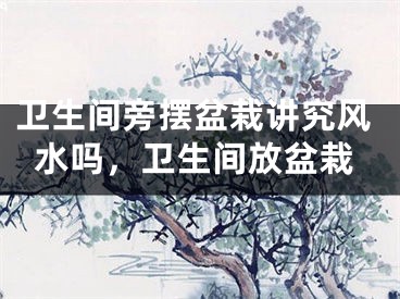 卫生间旁摆盆栽讲究风水吗，卫生间放盆栽