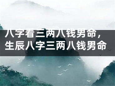 八字看三两八钱男命，生辰八字三两八钱男命