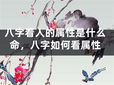 八字看人的属性是什么命，八字如何看属性