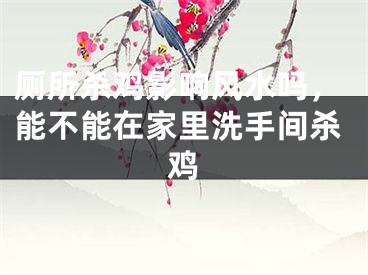 厕所杀鸡影响风水吗，能不能在家里洗手间杀鸡