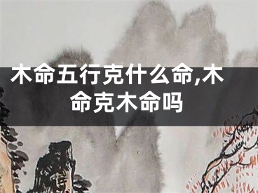 木命五行克什么命,木命克木命吗