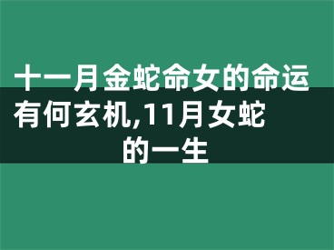 十一月金蛇命女的命运有何玄机,11月女蛇的一生