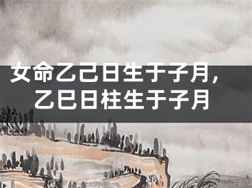 女命乙己日生于子月,乙巳日柱生于子月