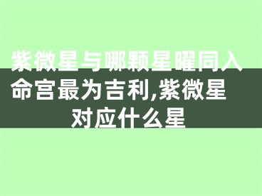 紫微星与哪颗星曜同入命宫最为吉利,紫微星对应什么星