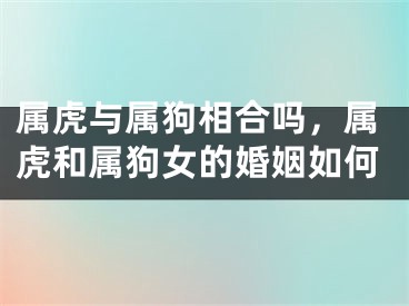 属虎与属狗相合吗，属虎和属狗女的婚姻如何