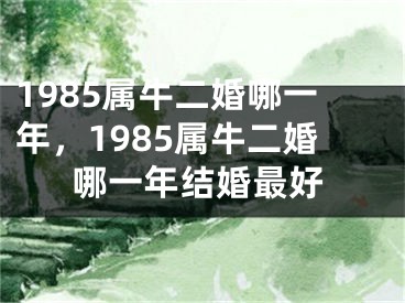 1985属牛二婚哪一年,1985属牛二婚哪一年结婚最好