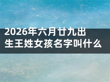 2026年六月廿九出生王姓女孩名字叫什么