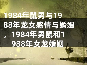 1984年鼠男与1988年龙女感情与婚姻，1984年男鼠和1988年女龙婚姻
