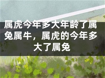 属虎今年多大年龄了属兔属牛，属虎的今年多大了属兔