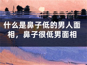 什么是鼻子低的男人面相，鼻子很低男面相