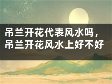 吊兰开花代表风水吗，吊兰开花风水上好不好