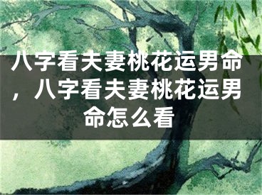 八字看夫妻桃花运男命,八字看夫妻桃花运男命怎么看