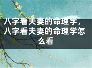 八字看夫妻的命理学，八字看夫妻的命理学怎么看