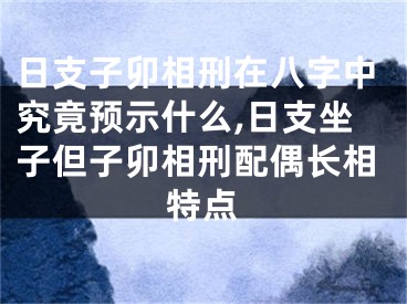 日支子卯相刑在八字中究竟预示什么,日支坐子但子卯相刑配偶长相特点
