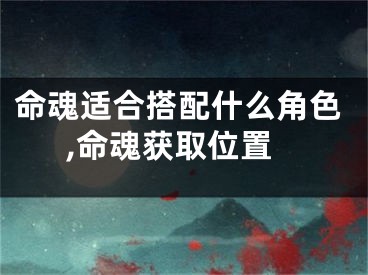 命魂适合搭配什么角色,命魂获取位置