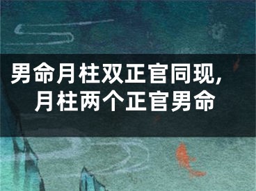 男命月柱双正官同现,月柱两个正官男命