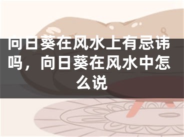 向日葵在风水上有忌讳吗，向日葵在风水中怎么说