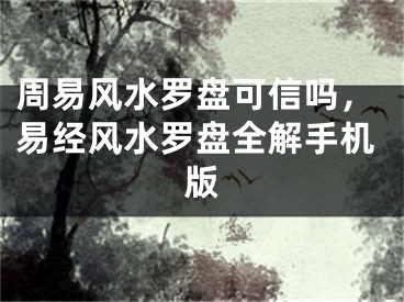 周易风水罗盘可信吗,易经风水罗盘全解手机版