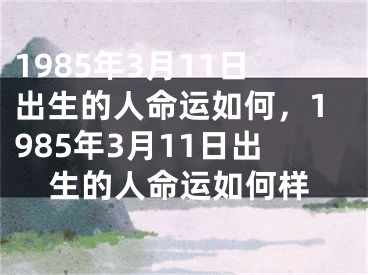 1985年3月11日出生的人命运如何，1985年3月11日出生的人命运如何样