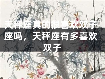 天秤座真的很喜欢双子座吗，天秤座有多喜欢双子