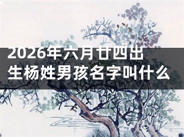 2026年六月廿四出生杨姓男孩名字叫什么