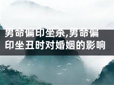 男命偏印坐杀,男命偏印坐丑时对婚姻的影响