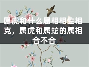 属虎和什么属相相生相克，属虎和属蛇的属相合不合
