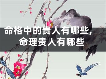 命格中的贵人有哪些,命理贵人有哪些