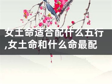 女土命适合配什么五行,女土命和什么命最配