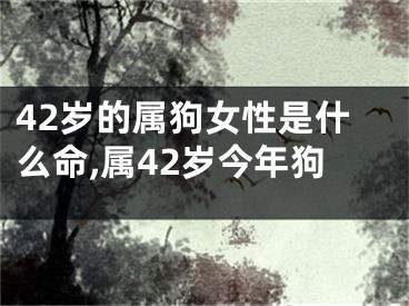 42岁的属狗女性是什么命,属42岁今年狗