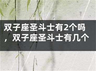 双子座圣斗士有2个吗，双子座圣斗士有几个