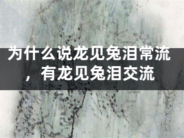 为什么说龙见兔泪常流，有龙见兔泪交流