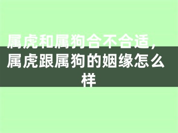 属虎和属狗合不合适，属虎跟属狗的姻缘怎么样
