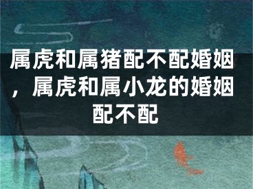属虎和属猪配不配婚姻,属虎和属小龙的婚姻配不配