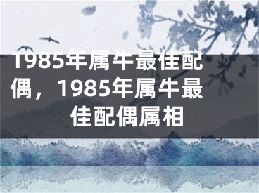 1985年属牛最佳配偶,1985年属牛最佳配偶属相