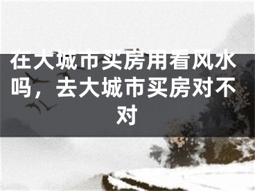在大城市买房用看风水吗，去大城市买房对不对