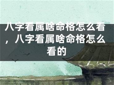 八字看属啥命格怎么看，八字看属啥命格怎么看的