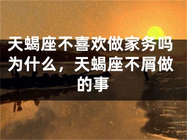 天蝎座不喜欢做家务吗为什么,天蝎座不屑做的事